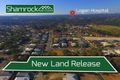 Property photo of LOT 1/31-33 Spruce Street Loganlea QLD 4131
