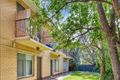Property photo of 3/18 Angus Street Goodwood SA 5034
