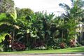 Property photo of 20 Gilliver Avenue Vaucluse NSW 2030