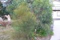Property photo of 17 Great Ocean Road Grey River VIC 3234