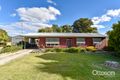 Property photo of 50 Arthur Street Naracoorte SA 5271