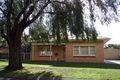 Property photo of 8 Corella Street Nuriootpa SA 5355
