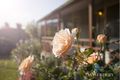 Property photo of 61 Manoa Road Halekulani NSW 2262