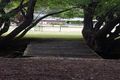 Property photo of 641 Back River Road Magra TAS 7140