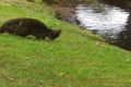 Property photo of 641 Back River Road Magra TAS 7140