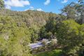 Property photo of 1382 Numinbah Road Chillingham NSW 2484