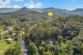 Property photo of 1382 Numinbah Road Chillingham NSW 2484