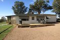 Property photo of 339 Pine Hill Road Narrandera NSW 2700