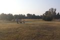 Property photo of 339 Pine Hill Road Narrandera NSW 2700