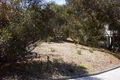 Property photo of 23 Niblick Street Anglesea VIC 3230