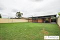 Property photo of 56 Bligh Avenue Camden South NSW 2570