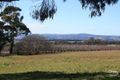 Property photo of 30 Stairs Road Canobolas NSW 2800