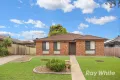 Property photo of 11 Flintlock Drive St Clair NSW 2759