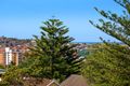 Property photo of 4/1A Moore Street Bondi NSW 2026