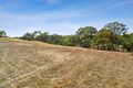 Property photo of 3 Manna Gum Way Campbells Creek VIC 3451