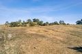 Property photo of 3 Manna Gum Way Campbells Creek VIC 3451