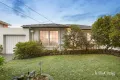 Property photo of 1/293 Upper Heidelberg Road Ivanhoe VIC 3079
