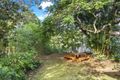 Property photo of 133 Taringa Parade Indooroopilly QLD 4068