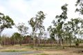 Property photo of 2 McKellar Street Midge Point QLD 4799