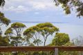 Property photo of 8 Wallace Street Lorne VIC 3232