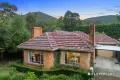 Property photo of 16 Woods Point Road Warburton VIC 3799