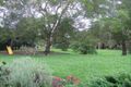 Property photo of 7 Sugar Gum Drive Mooloolah Valley QLD 4553