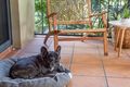 Property photo of 14/68 Beeston Street Teneriffe QLD 4005