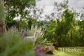 Property photo of 1-3 Knoll Road Tamborine Mountain QLD 4272