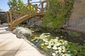 Property photo of 46 Toucan Crescent Plumpton NSW 2761