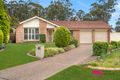 Property photo of 11 Borrowdale Close Narellan NSW 2567