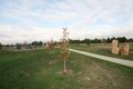 Property photo of 3 Parkview Terrace Riddells Creek VIC 3431