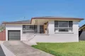 Property photo of 6 Ray Place Minto NSW 2566