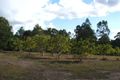 Property photo of 299 Gootchie Road Gootchie QLD 4650