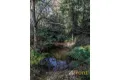Property photo of 273 Burns Road Wyena TAS 7254