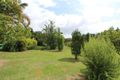 Property photo of 29 Tallowood Close Failford NSW 2430