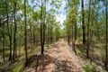 Property photo of 74 Range Road Captain Creek QLD 4677