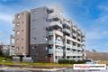 Property photo of 115/41 Philip Hodgins Street Wright ACT 2611