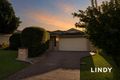 Property photo of 24 Willcox Avenue Singleton Heights NSW 2330