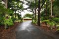 Property photo of 17 Eudlo Flats Road Diddillibah QLD 4559