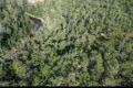Property photo of 288 McGills Road Kremnos NSW 2460