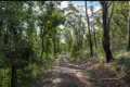 Property photo of 288 McGills Road Kremnos NSW 2460