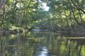 Property photo of 27 Gamburra Drive Redlynch QLD 4870