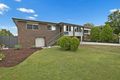 Property photo of 56 Grunert Street Holland Park QLD 4121