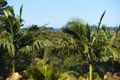 Property photo of 15 Kalang Circuit Coffs Harbour NSW 2450