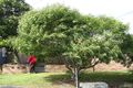Property photo of 2/50 Springwood Street Ettalong Beach NSW 2257