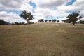 Property photo of 38 Memorial Drive Werris Creek NSW 2341