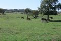Property photo of 159 Garra Road Molong NSW 2866