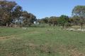 Property photo of 159 Garra Road Molong NSW 2866