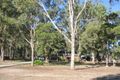 Property photo of 11 Airstrip Road Pitt Town NSW 2756