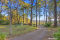 Property photo of 90 Thonemans Road Hoddles Creek VIC 3139